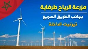 الطاقة الريحية طرفاية